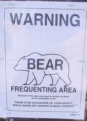 bearwarning.jpg